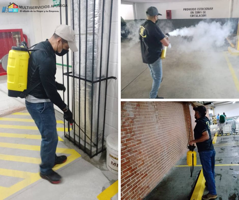 control de plagas en la Guaira