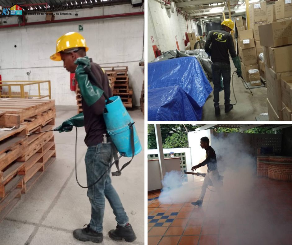 Empresa-de-fumigacion-en-Valencia