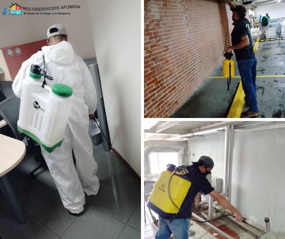 Fumigación de chiripas